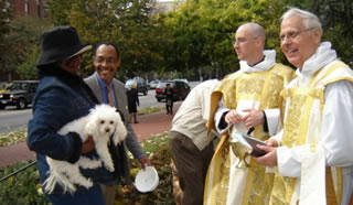 Blessing of animals